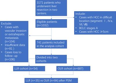 Perioperative and long-term survival outcomes of laparoscopic versus open hepatectomy for BCLC stage A large hepatocellular carcinoma patients in difficult segments: A two-centre, propensity score matching analysis